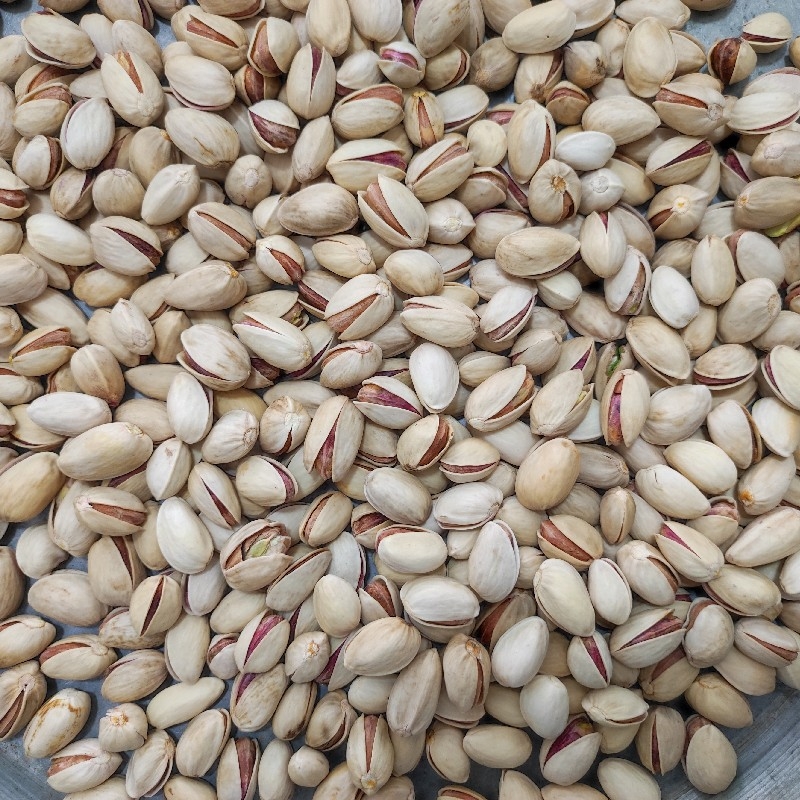 احمداقایی