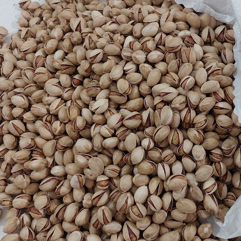 فروش پسته فندقی