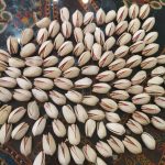 عرضه مستقیم پسته اکبری خام و شور و انواع پسته