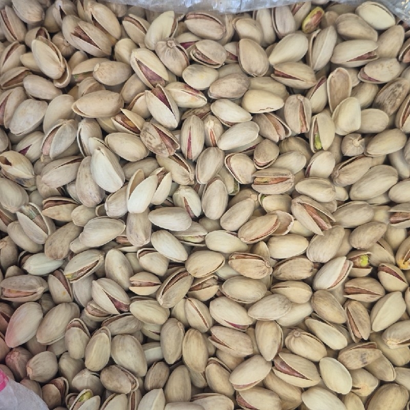 پسته اکبری