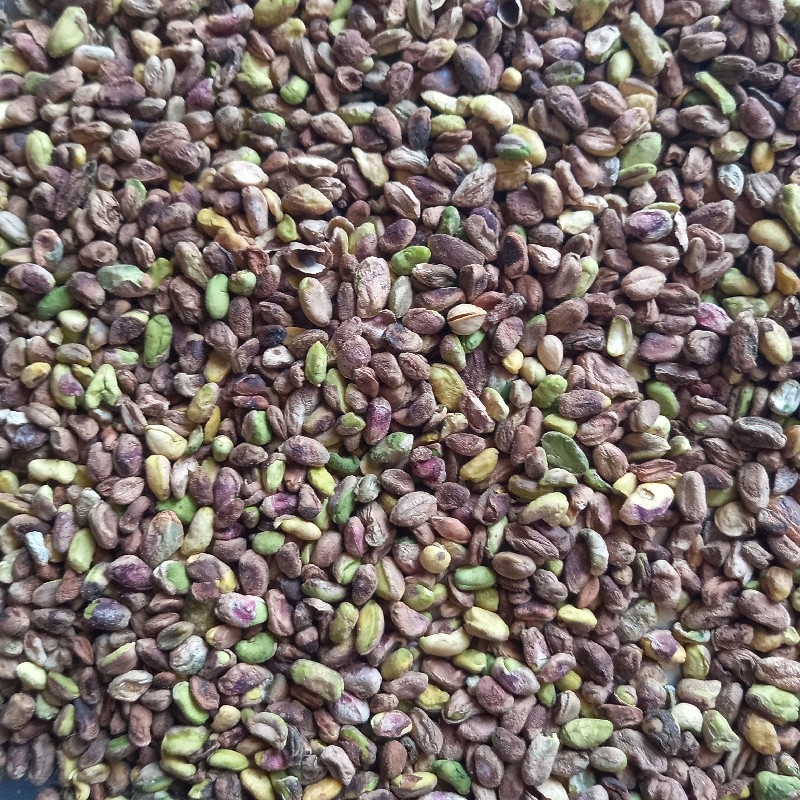 مغز دستگاهی