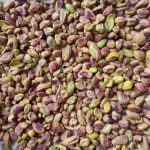 مغز دستشکن